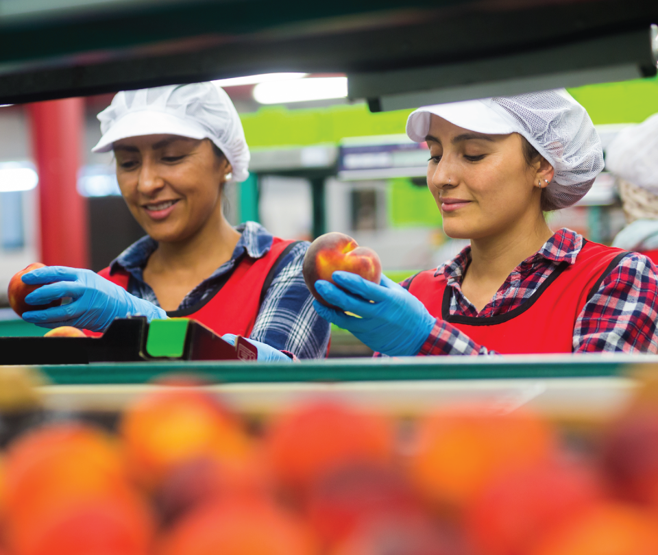 Fusion Staffing Food processing